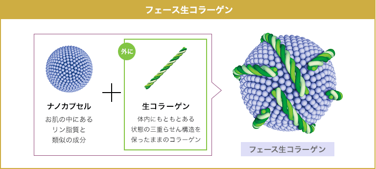 フェース生コラーゲン